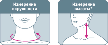 neck_sceme