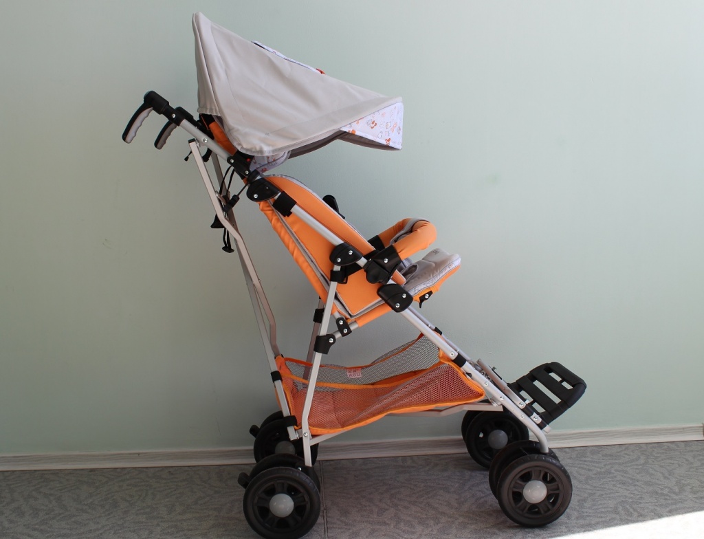 коляска пегас для детей с дцп_капюшон (1).JPG