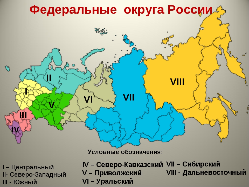 img15.jpg img15.jpg